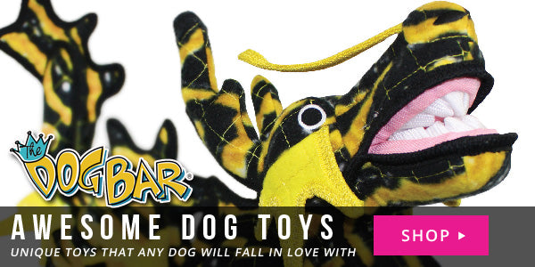 Awesome Dog Toys