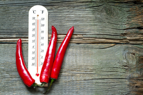 Hot red peppers next to a temperature thermometer 