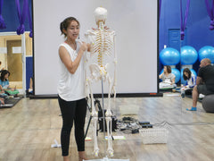 กายวิภาคศาตร์เบื้องต้น - Anatomy Course Bangkok