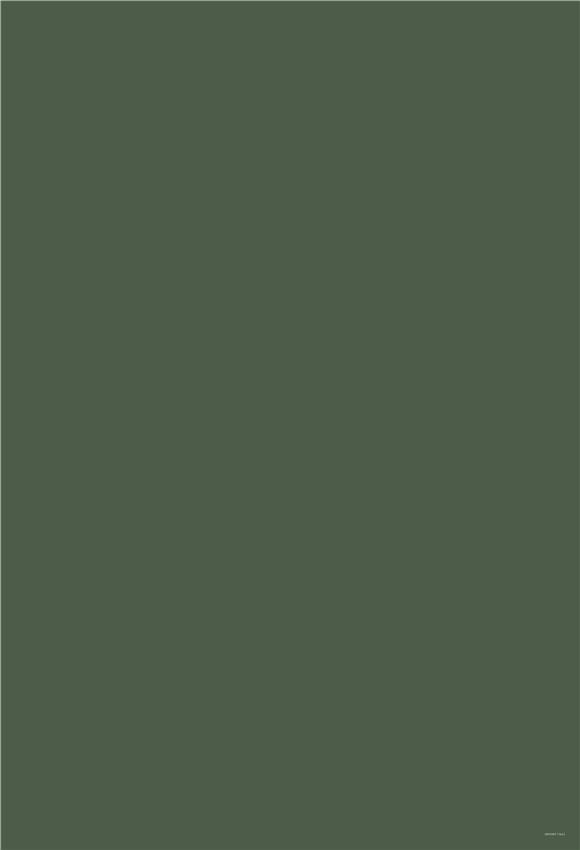 plain green color