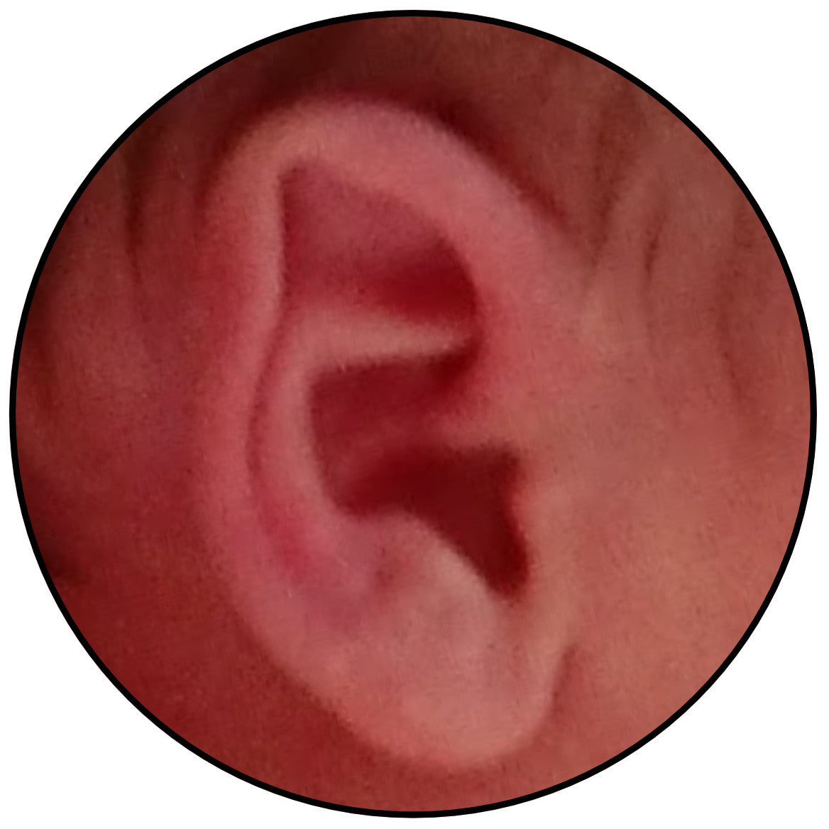 earbuddies results