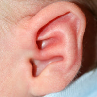 A conchal crus can block the entrance to the the ear canal, and in later life, retention of in-ear headphones can be difficult.