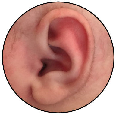 earbuddies better than otostick