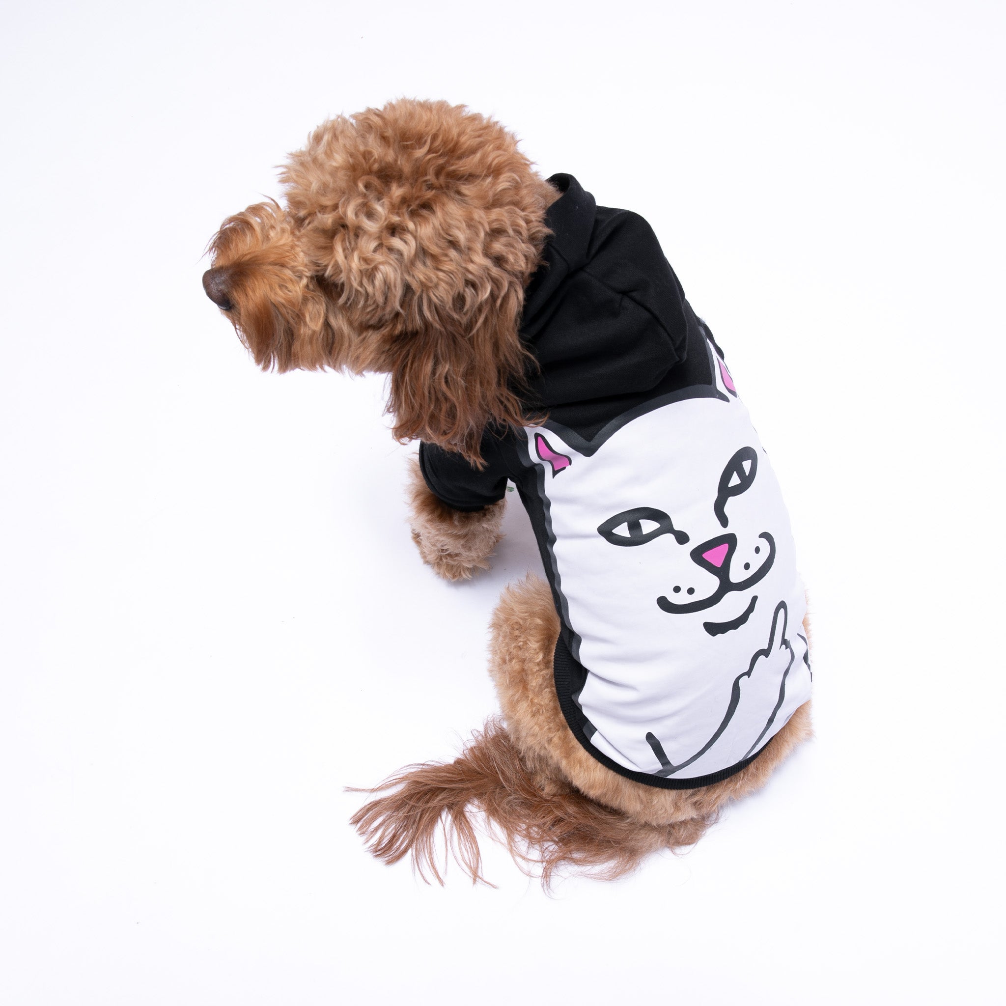 Lord Nermal Pet Hoodie (Black) – RIPNDIP