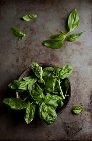 The scent of fresh basil was an inspiration for our Basil & Bergamot hand soap.