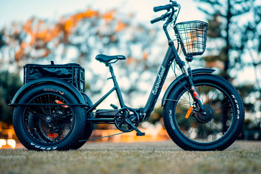 electric trike for seniors and adults