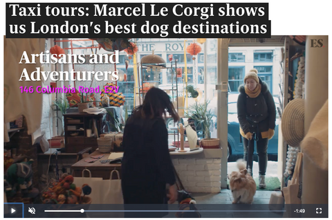 evening standard dog friendly guide with marcel le corgi