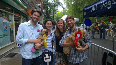 all dogs matter south end green dog show 2018