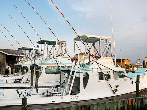 Albatross Sportfishing Article Marlin Magazine Hatteras North Carolina Marlin Offshore