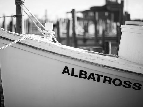 Albatross Sportfishing Article Marlin Magazine Hatteras North Carolina Marlin Offshore