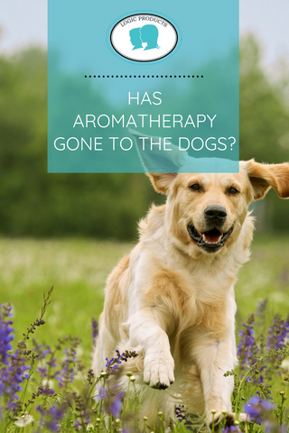 Has aromatherapy gone to the dogs?