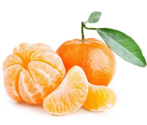 tangerine essential oil for dogs