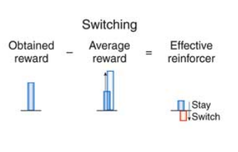 Obtained rewards, computed by fast dopamine signals