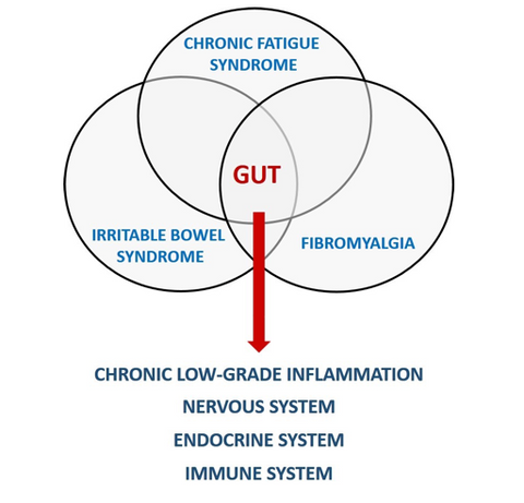 Gut Microbiota and CFS Chronic Fatigue Syndrome