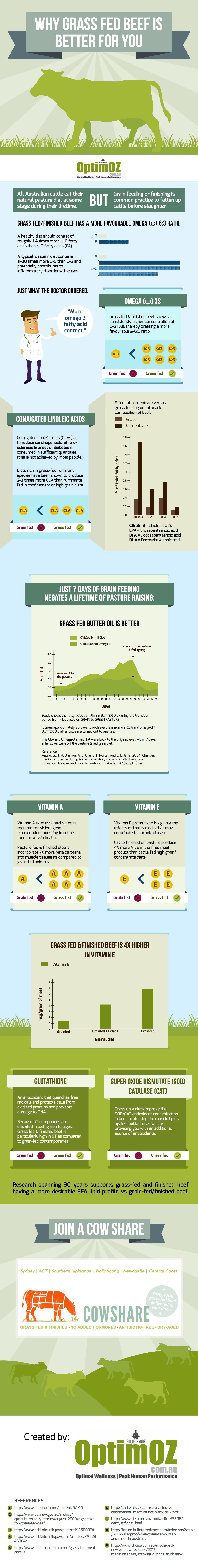 Grass Fed vs Grain Fed Beef Infographic