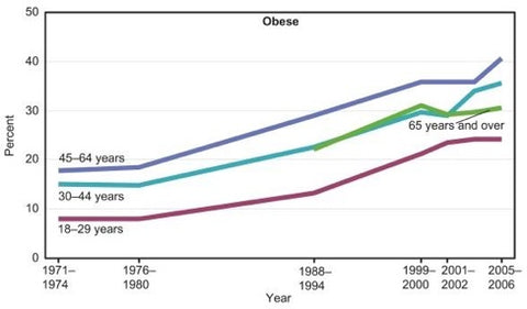 Low carb high fat diets were not popular when obesity epidemic happened