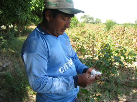 Silvania Georgia Kirkpatrick Rodolfo on his organic cotton farm