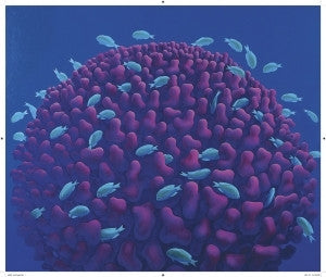 Coral head with fish