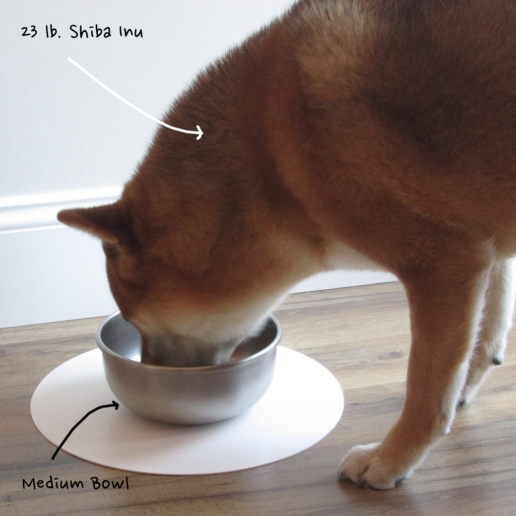 Stainless Steel Dog Bowls - MADE IN THE USA | Basis Pet