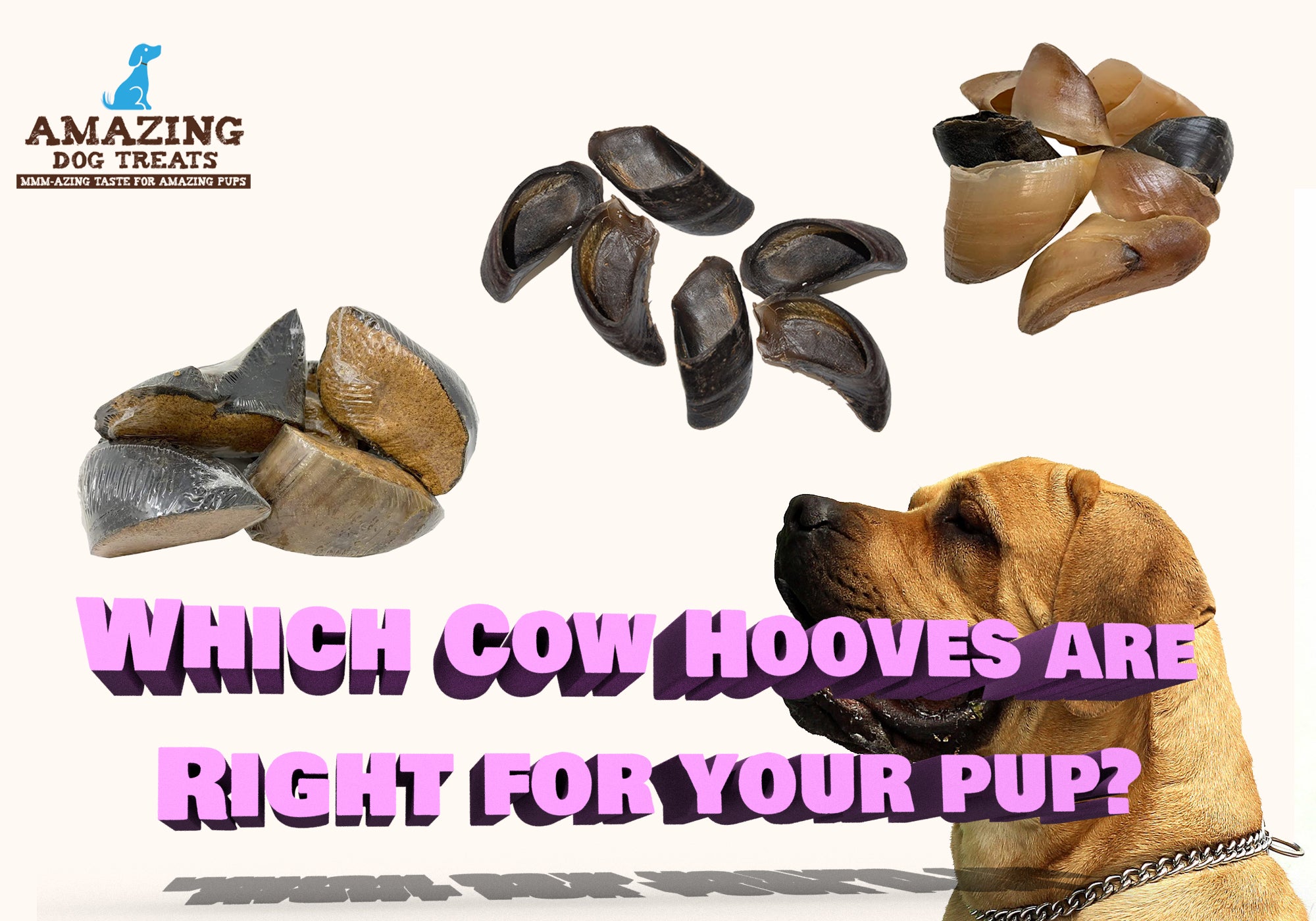 are cow hooves safe for dogs