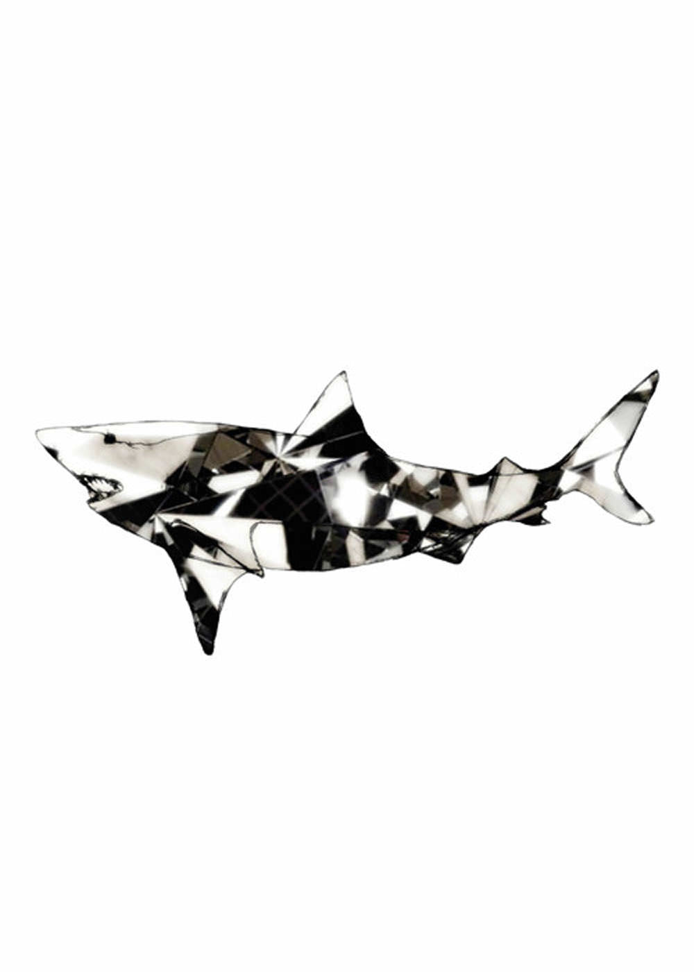 Shark Superior fra Paradisco Productions