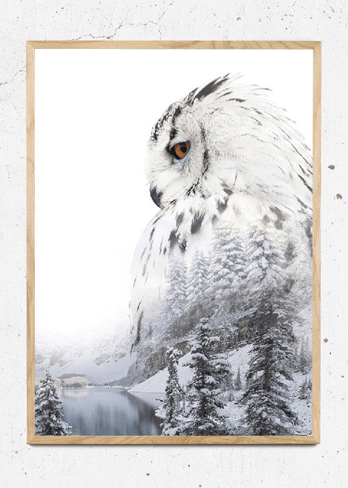 Owl fra Hang It Up