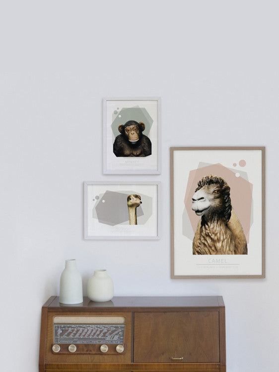 Life In Plastic: Monkey fra Somebody Else