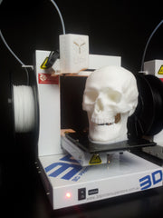 3D Printered Skull on the Up Plus 2