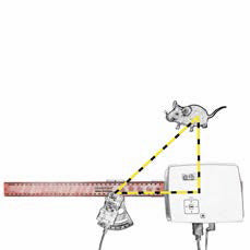 David SLS-3 HD Small object scanning calibration