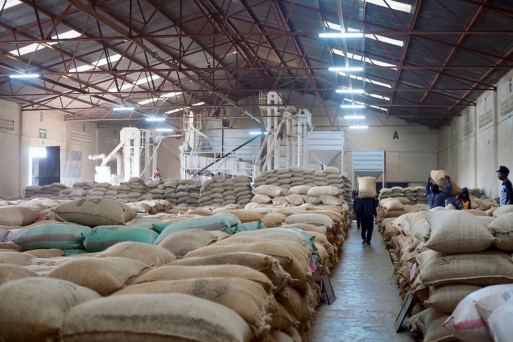 Coffee cooperatives in Kenya