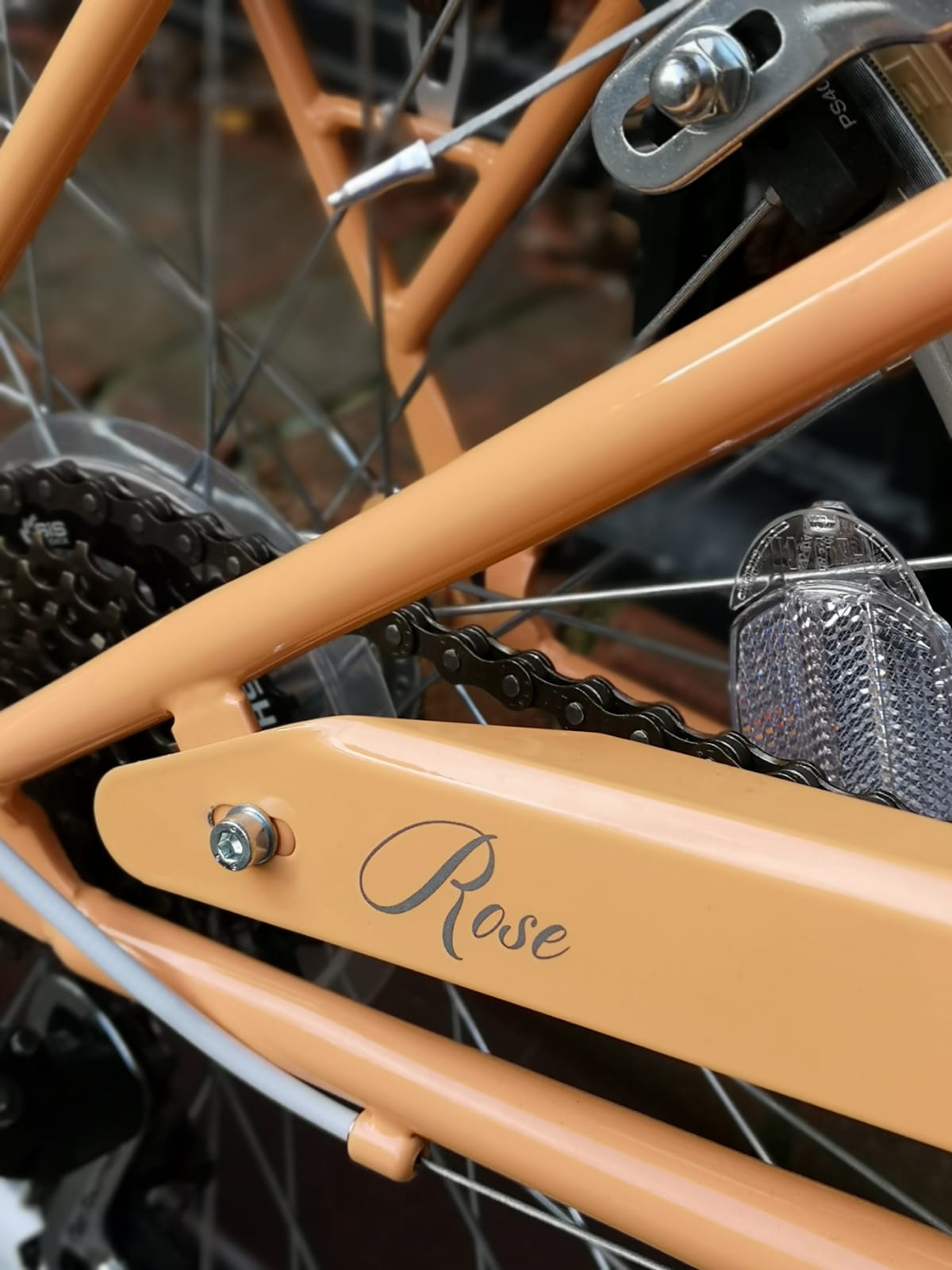 Ryedale Rose. 20" girls bike peach