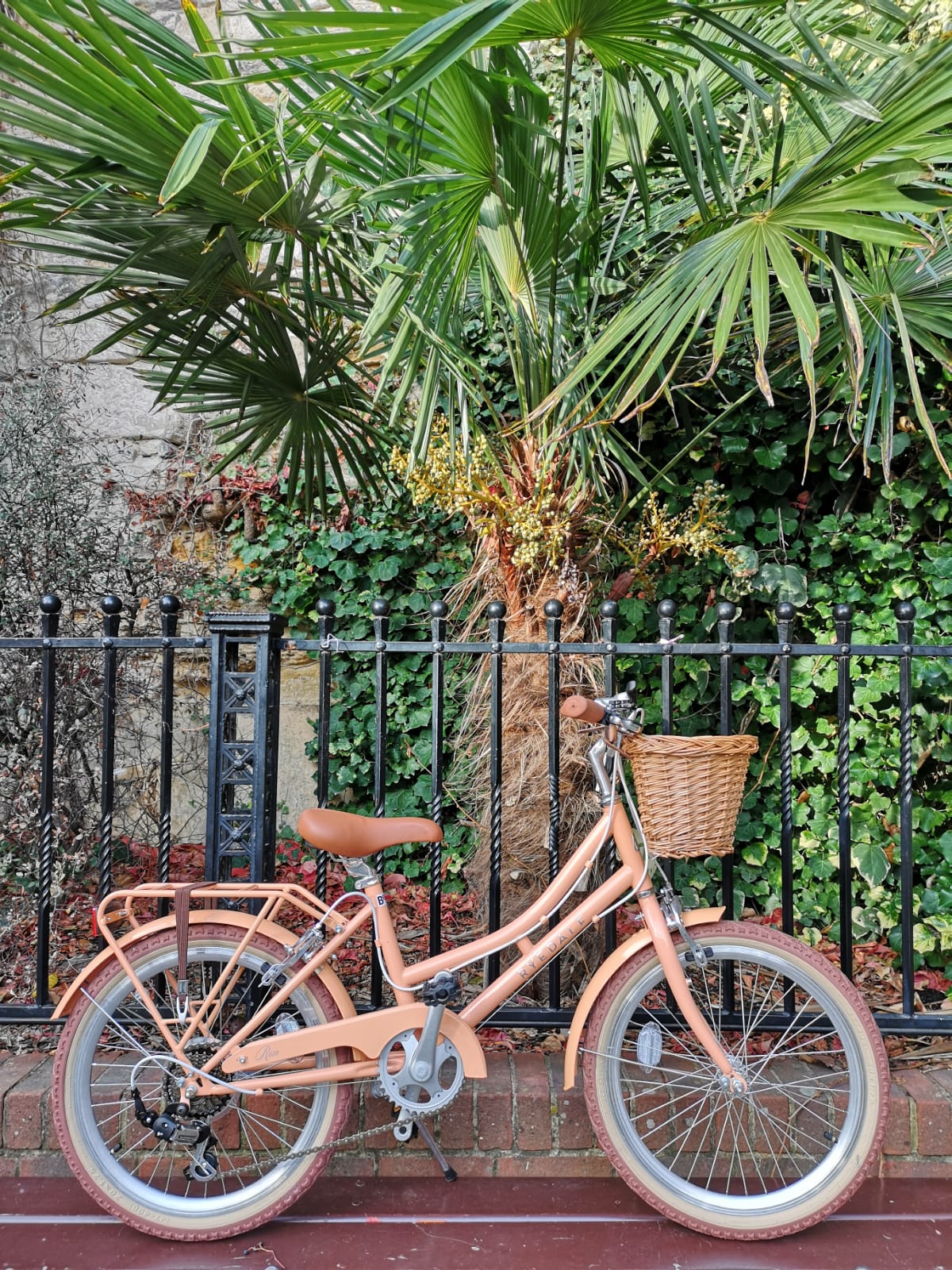 Ryedale Rose. 20" girls bike peach