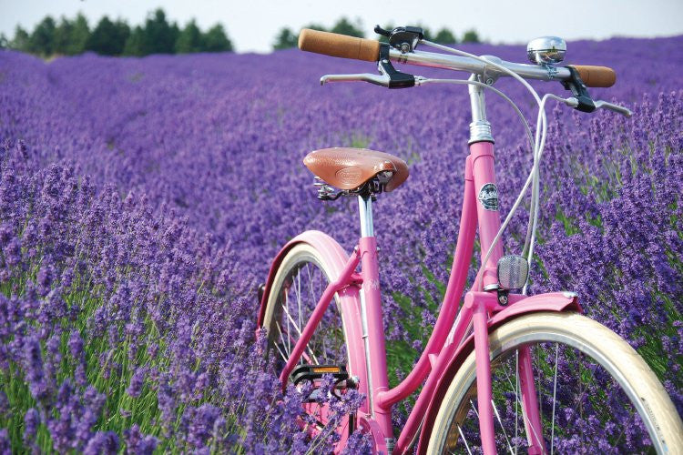 pashley poppy classic womens vintage bike review