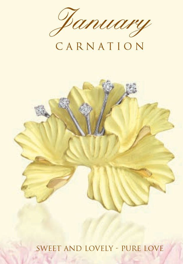 January Flower Of The Month Carnation january birth flower