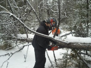 Cutting up fallen trees to clear the trail