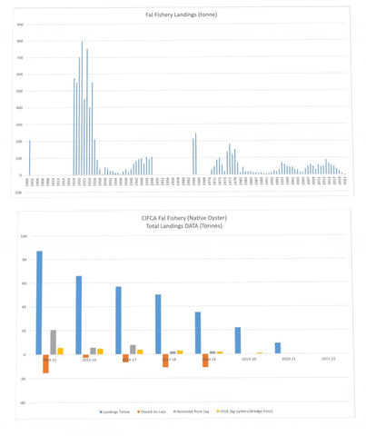 Fal Fishery Native Oyster Landings - CJ Ranger
