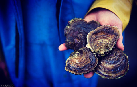 Getty images - Cornish Native Fal Oyster