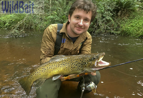 Trout caught on a Stalker 5SBY