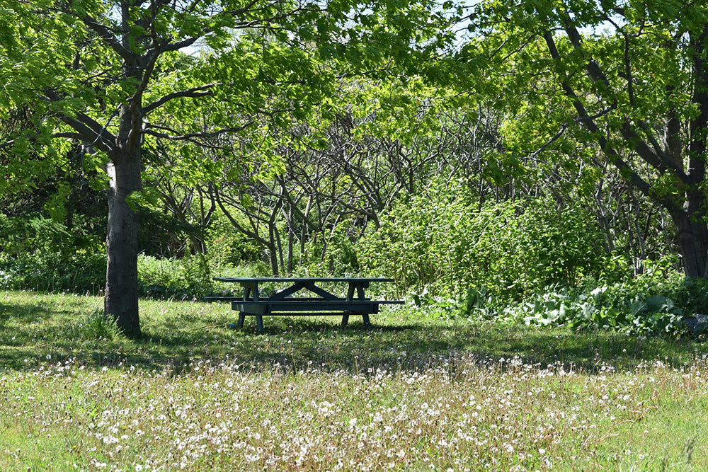 parc et nature