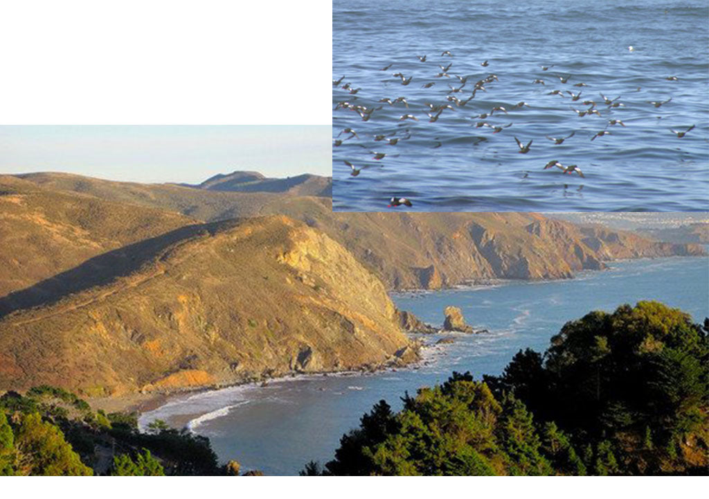 Muir Beach San Francisco Marin Headlands