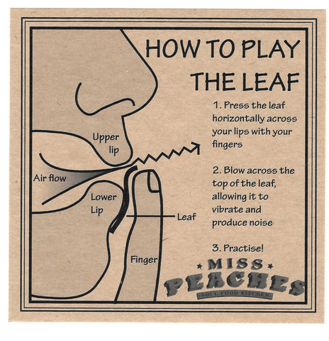How To Play 'The Leaf' instructions 