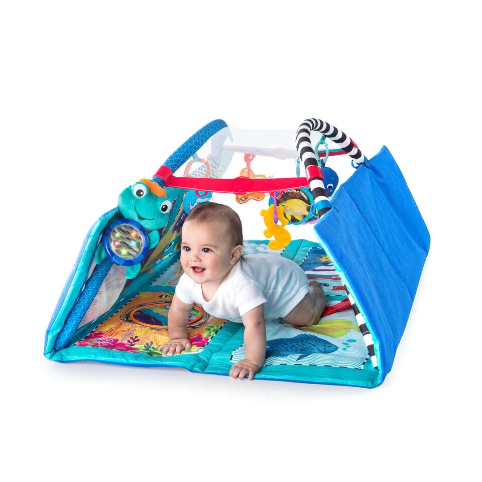 baby einstein tummy time pillow