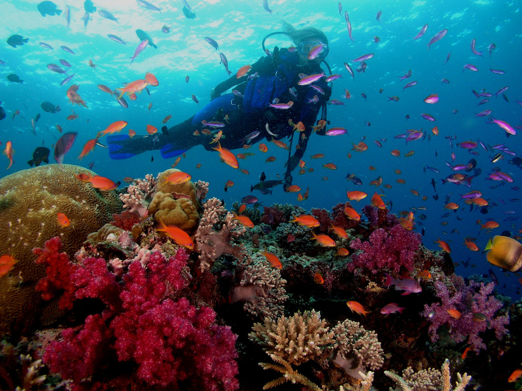 Coral Coast Fiji Islands