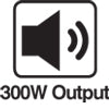 300W Output