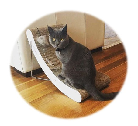 Modern Cat Scratcher At Home