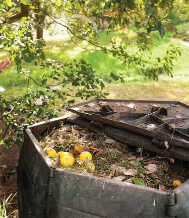 compost bin