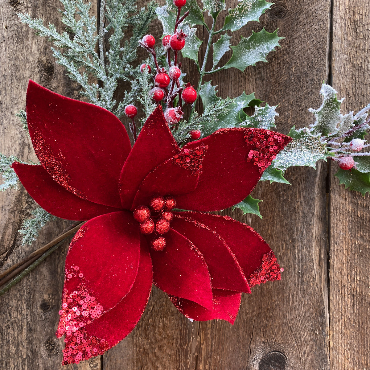 Christmas Flower Stems – Bradford Greenhouses Garden Gallery