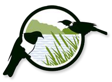 Rotokare Scenic Reserve Trust Logo