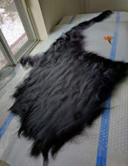 Earth Day Headdress laid out in Merino Wool before it's felted