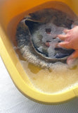 Felted Hat submerged in plastic dishwashing bucket. Use cool water and a drop of soap.